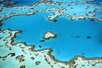 Hardy Reef Near Whitsunday Islands : Desktop And Mobile Wallpapers ...