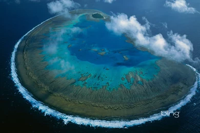 EWB0005313 group Great Barrier Reef Marine Park Queensland Australia