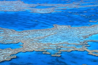 Download Great Barrier Reef HD Wallpapers In 3840x1080 : Widescreen ...