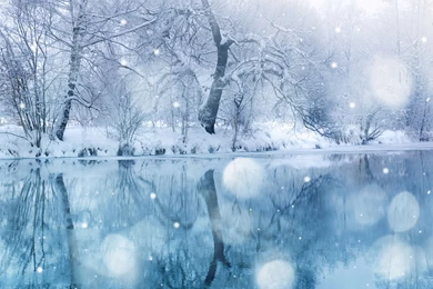 Winter Snowfall HD Desktop Wallpapers : High Definition : Mobile ...