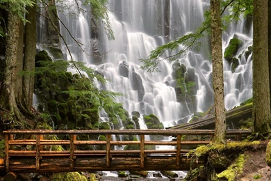 Forest Waterfall Wallpapers