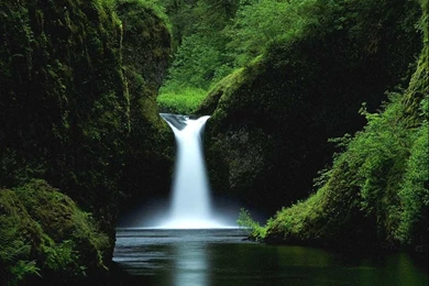 Forest Waterfall Wallpapers Find Nature Wallpapers Forest Waterfall ...