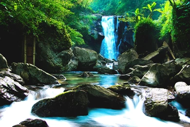Green Waterfall Forest