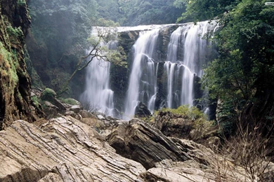 YouWall   Forest Waterfall Wallpapers   Wallpaper,wallpapers,free ...