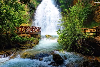 Waterfall Pictures In The Forest 10159   Pacify Mind