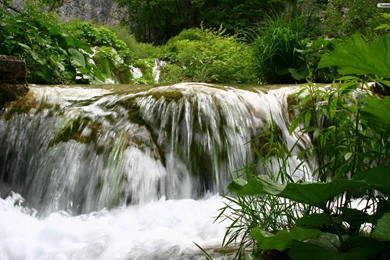 Forest Waterfall Wallpapers HD