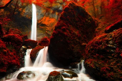 Forest Waterfall Wallpapers