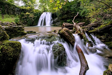 Waterfall Forest Wallpapers