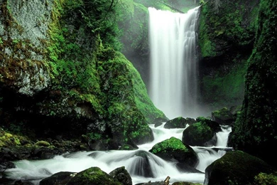Falls Creek Falls, Gifford Pinchot National Forest, Washington ...