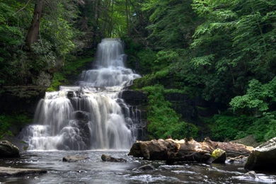 Gentle Giant Forest Moss Quiet Rocks Stream Waterfall   (
