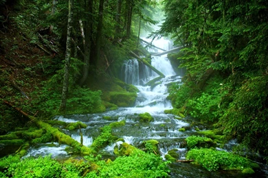 Landscape Nature Tree Forest Woods River Waterfall Wallpapers ...