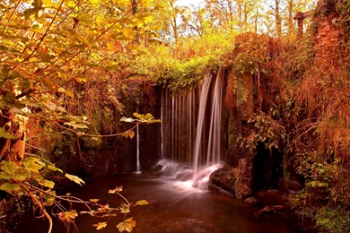 Small Forest Waterfall   (