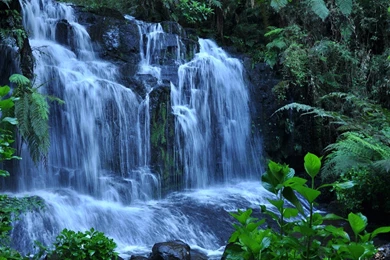 Share Your Wallpapers Page 80