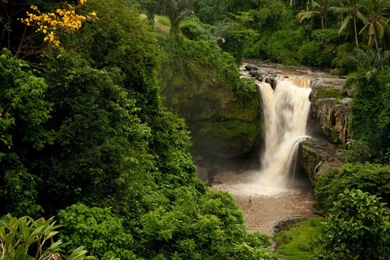 YouWall   Green Forest Waterfall Wallpapers   Wallpaper,wallpapers ...