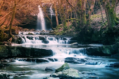 Forest Waterfall River Landscape Wallpapers