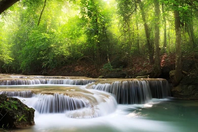 Share Your Wallpapers