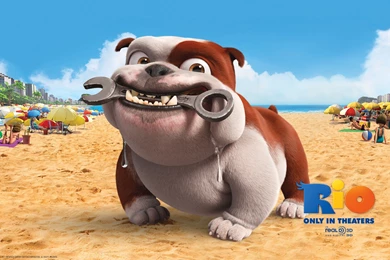 Movies Rio Movie Animation