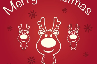 Merry Christmas 2014 Wallpapers   Happy New Year To You