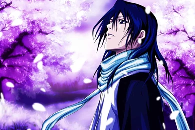 Byakuya Wallpapers HD NA10   WALLEO.CO   WALLEO.CO