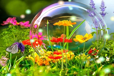 Live Wallpapers   Free Wallpapers For PC