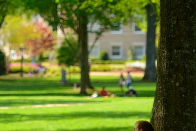 Ole Miss Wallpapers   Ole Miss News