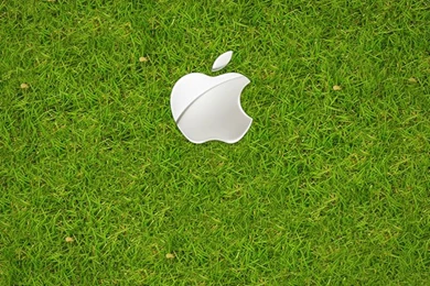 Ipod Five Wallpapers