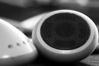 Apple In A Room iPhone 5s Wallpapers Download