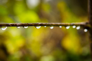 Beautiful Rain HD Wallpapers For Desktop