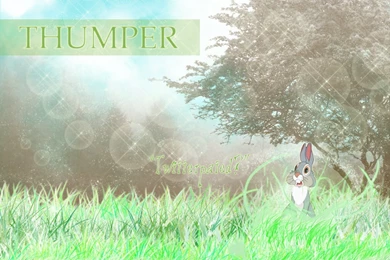 Thumper Wallpapers By UnknownDuchess On DeviantArt