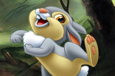 Thumper (Bambi) Wallpapers For Android, iPhone And IPad
