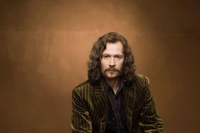 Gary Oldman Wallpapers   (