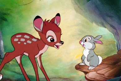Bambi Flower And Thumper   Wallpaper.