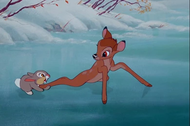 Bambi Flower And Thumper   Wallpaper.