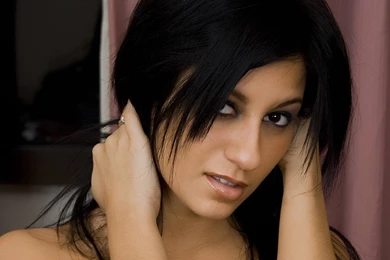 Raven Winter Birds Wallpapers   (