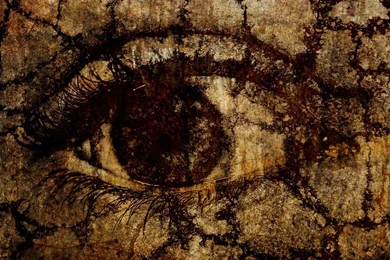 Stone Eye Wallpapers From Eyes Wallpapers