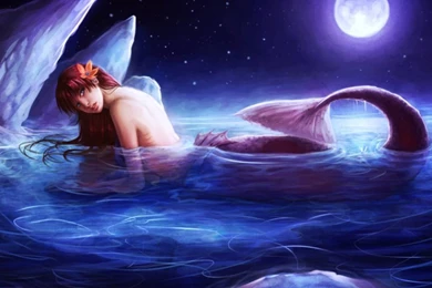 Free Wallpapers, Windows Wallpaper, Images For Iphone, Tablet ...