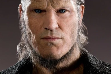 People,Harry Potter People Harry Potter Actors Cast Fenrir ...