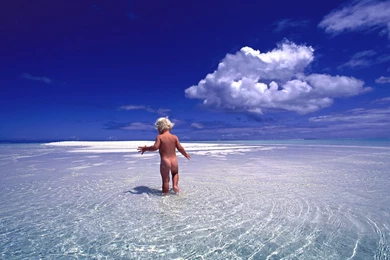 Nature: Exploring The Crystal Clear Water, Picture Nr. 19809