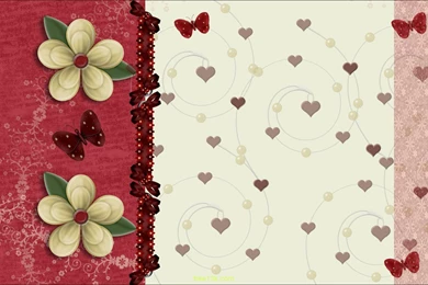 Birthday Flowers Pics 6749   HD Wallpapers Site