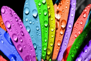 1440x1280 Mobile Phone Wallpapers Download   14   1440x1280 ...