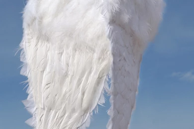 Angelic Journeys Meditation CD [MEDIAJ]   $15.00 : Kathy Milano, Ph.D.