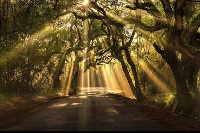 T   Ashtar Command   Spiritual Community Network