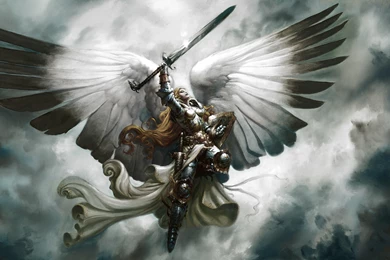 Angelic Wallpapers 2560x1600   (