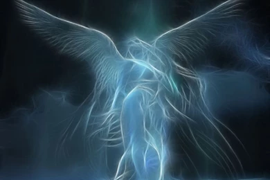 Free Wallpapers 6fb   HD Wallpapers