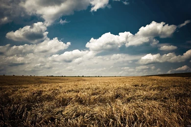 Hd Desktop Wallpapers Hd Widescreen Desktop Wallpapers 1920x1080 ...