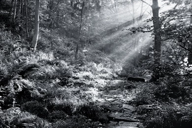 Quasicrystal From Early Solar System, Screwing Over Urban America ...