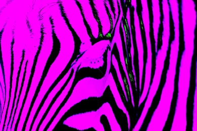 Phone Backgrounds Wallpapers