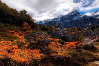 Nature Desktop Wallpapers 1920x1080