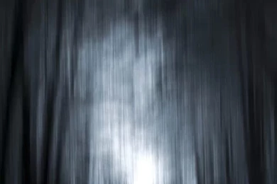 Misty Forest iPhone 4s Wallpapers Download