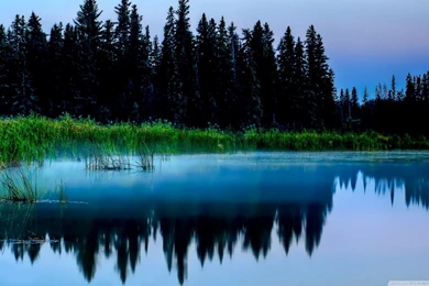 Misty Lake And Dark Forest HD Desktop Wallpapers : Widescreen ...